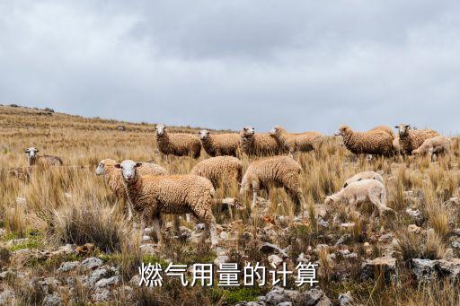 燃?xì)庥昧康挠?jì)算