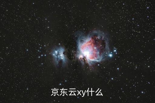 京東云xy什么