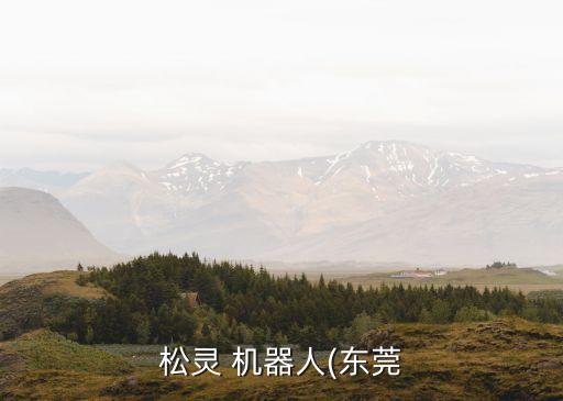 松靈 機器人(東莞