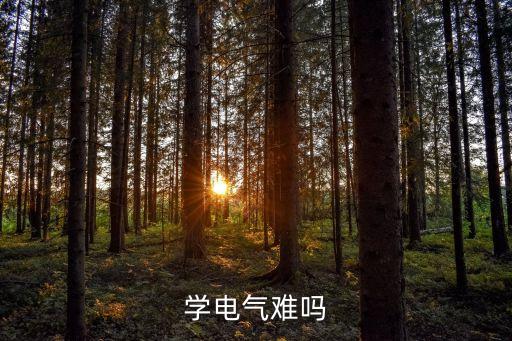 學(xué)電氣難嗎