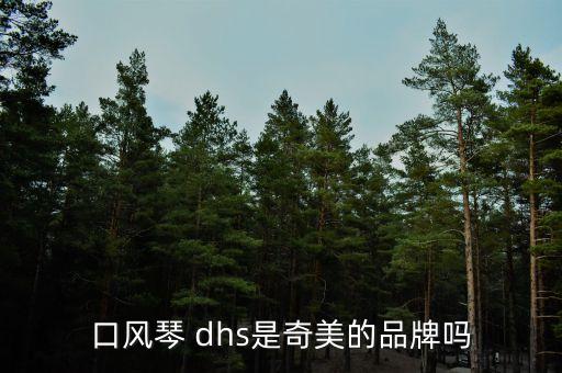 口風(fēng)琴 dhs是奇美的品牌嗎