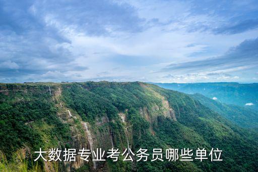 大數(shù)據(jù)招聘要求,大數(shù)據(jù)相關(guān)崗位的就業(yè)前景總體不錯(cuò)