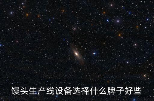 饅頭生產(chǎn)線設(shè)備選擇什么牌子好些