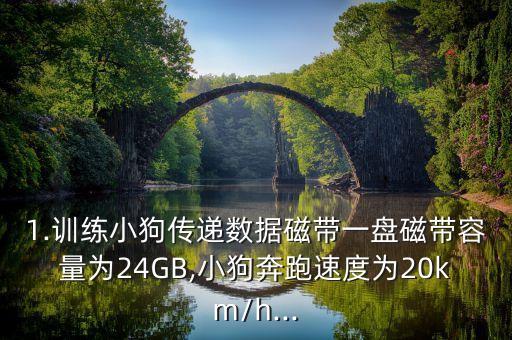 1.訓練小狗傳遞數(shù)據(jù)磁帶一盤磁帶容量為24GB,小狗奔跑速度為20km/h...
