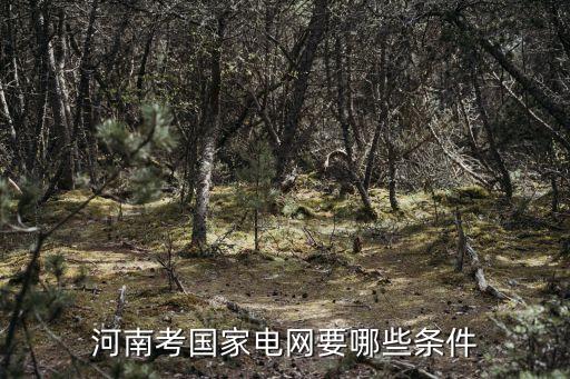 招聘2020電氣自動化,中國煙草招聘條件有哪些?