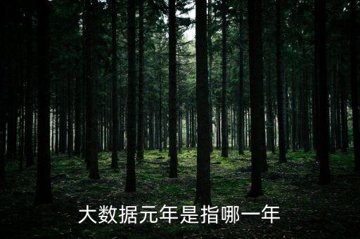大數(shù)據(jù)元年是指哪一年