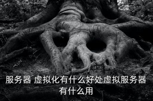虛擬化 數(shù)據(jù)庫,數(shù)據(jù)庫虛擬化有什么優(yōu)點(diǎn)
