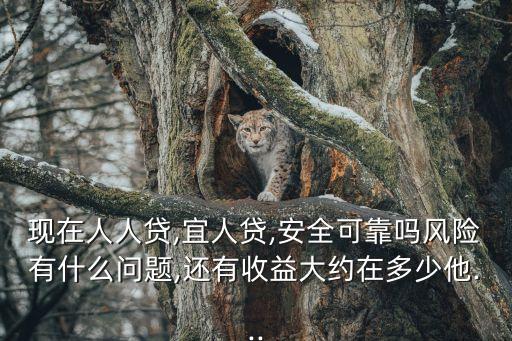 宜定盈