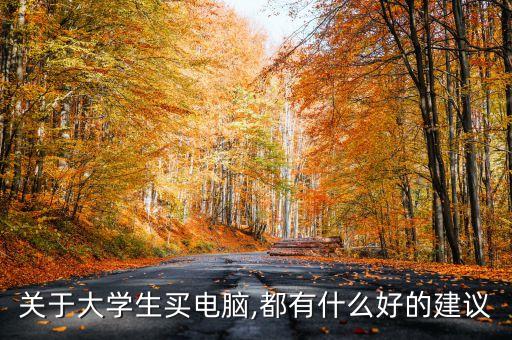 關(guān)于大學(xué)生買電腦,都有什么好的建議