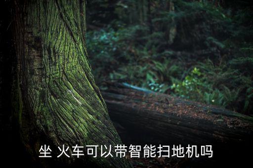 坐 火車可以帶智能掃地機嗎