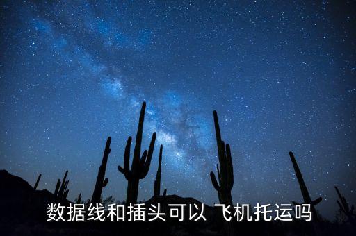  數(shù)據(jù)線和插頭可以 飛機托運嗎
