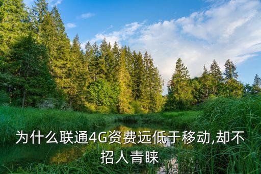 為什么聯(lián)通4G資費(fèi)遠(yuǎn)低于移動(dòng),卻不招人青睞