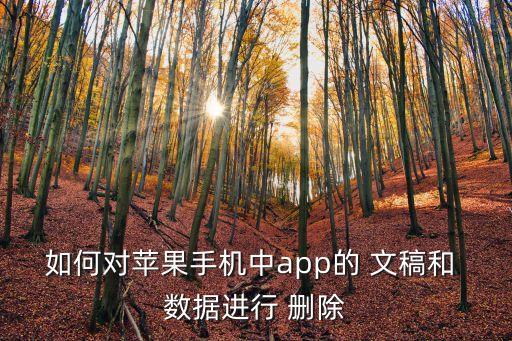 如何對蘋果手機中app的 文稿和 數(shù)據(jù)進行 刪除