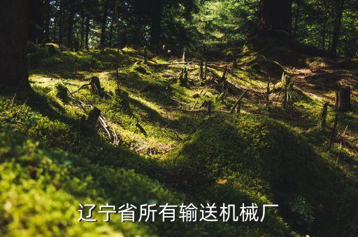 沈陽藍陽自動化設備廠