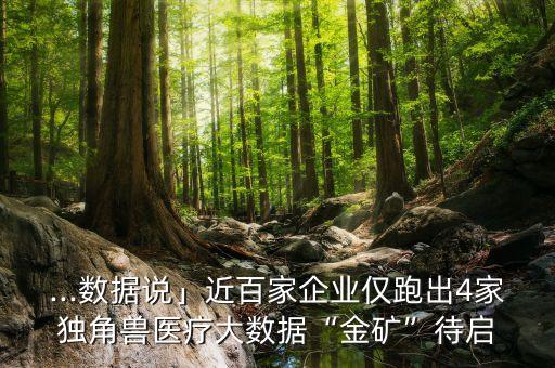 ...數(shù)據(jù)說」近百家企業(yè)僅跑出4家獨(dú)角獸醫(yī)療大數(shù)據(jù)“金礦”待啟