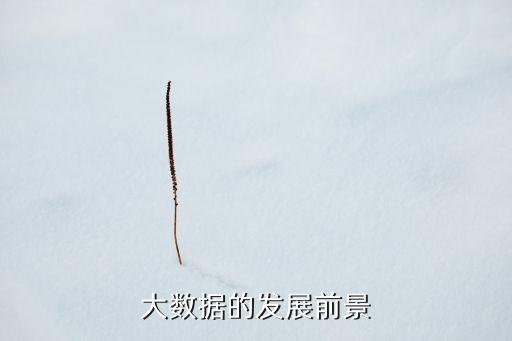 美國(guó)運(yùn)通大數(shù)據(jù),大數(shù)據(jù)的發(fā)展前景?