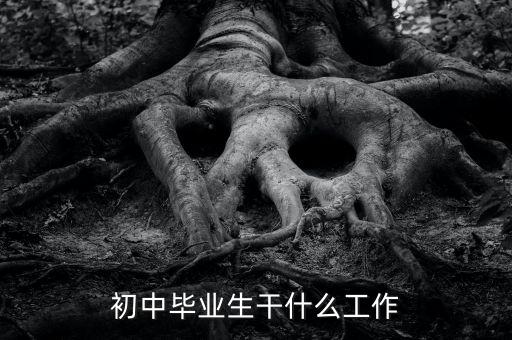 初中畢業(yè)生干什么工作