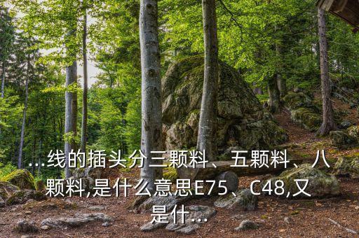 ...線的插頭分三顆料、五顆料、八顆料,是什么意思E75、C48,又是什...