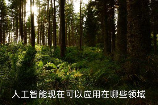 人工智能現(xiàn)在可以應(yīng)用在哪些領(lǐng)域