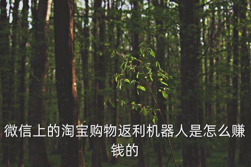 微信上的淘寶購物返利機器人是怎么賺錢的