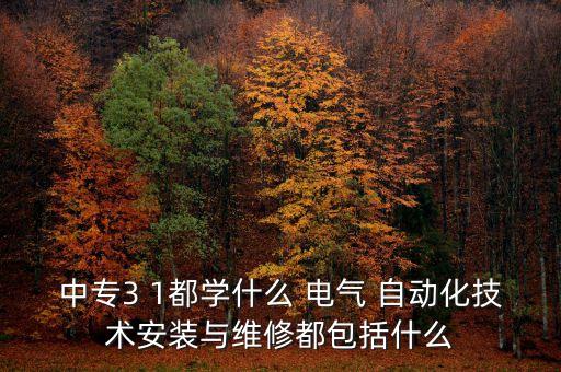 中專3 1都學(xué)什么 電氣 自動(dòng)化技術(shù)安裝與維修都包括什么