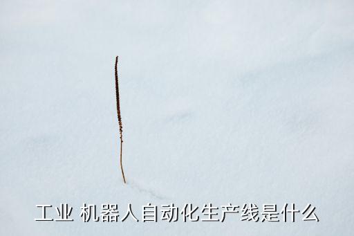 工業(yè) 機(jī)器人自動(dòng)化生產(chǎn)線是什么