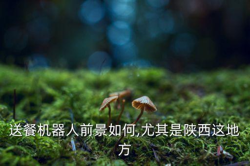 怎么看待機器人送餐,送餐機器人有什么優(yōu)點?前景樂觀!