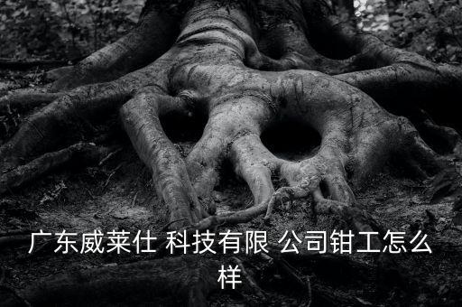 廣東威萊仕 科技有限 公司鉗工怎么樣