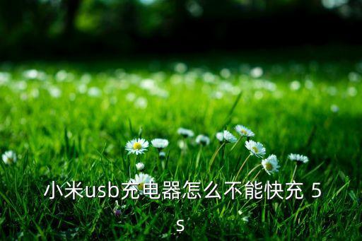  小米usb充電器怎么不能快充 5s