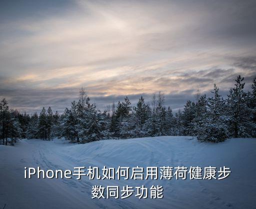 iPhone手機(jī)如何啟用薄荷健康步數(shù)同步功能