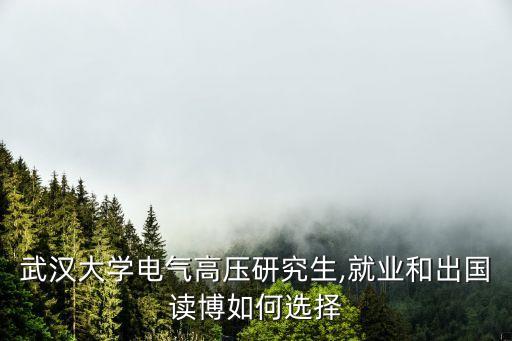 電氣自動化博士怎么選,水利博士和電氣博士哪個待遇好些?