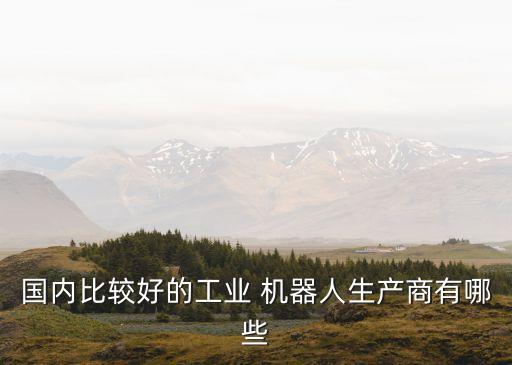 國(guó)內(nèi)比較好的工業(yè) 機(jī)器人生產(chǎn)商有哪些
