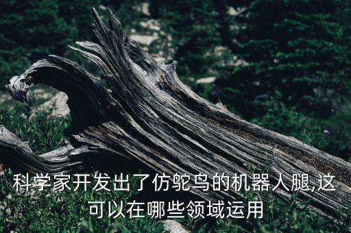 科學(xué)家開發(fā)出了仿鴕鳥的機(jī)器人腿,這可以在哪些領(lǐng)域運(yùn)用