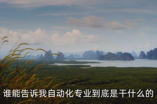 萬和自動化設(shè)備做什么,電氣工程及自動化專業(yè)從零開始