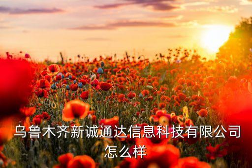  烏魯木齊新誠通達信息科技有限公司怎么樣