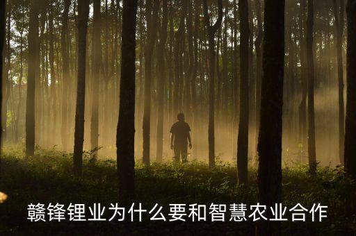 贛鋒自動化設(shè)備,贛鋒鋰業(yè)發(fā)布調(diào)價(jià)函,你還有戲嗎?