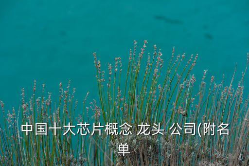 中國十大芯片概念 龍頭 公司(附名單