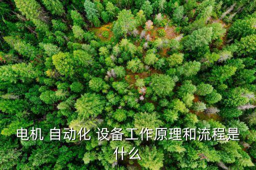 電機(jī) 自動(dòng)化 設(shè)備工作原理和流程是什么