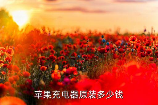 蘋果充電器原裝多少錢