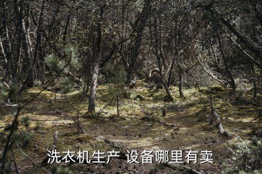 洗衣機生產(chǎn) 設(shè)備哪里有賣
