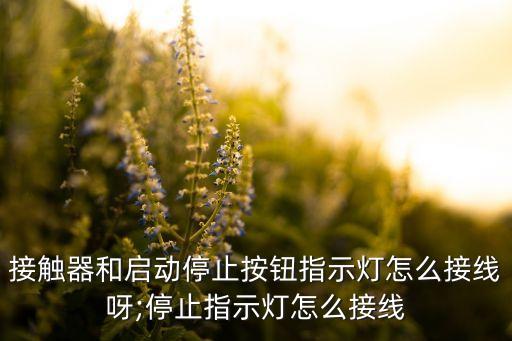 自動化設(shè)備關(guān)機(jī)按鈕如何接線,常見三按鈕開關(guān)如何使用