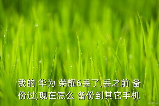 我的 華為 榮耀6丟了,丟之前 備份過(guò),現(xiàn)在怎么 備份到其它手機(jī)