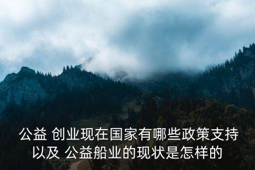  公益 創(chuàng)業(yè)現(xiàn)在國(guó)家有哪些政策支持以及 公益船業(yè)的現(xiàn)狀是怎樣的