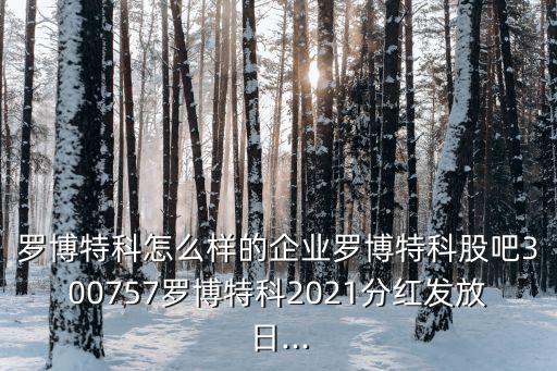 羅博特科怎么樣的企業(yè)羅博特科股吧300757羅博特科2021分紅發(fā)放日...