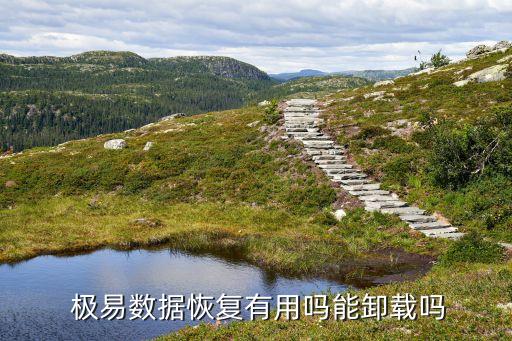  極易數(shù)據(jù)恢復(fù)有用嗎能卸載嗎