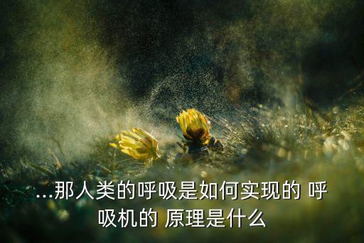...那人類的呼吸是如何實現(xiàn)的 呼吸機的 原理是什么