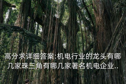 高分求詳細(xì)答案:機(jī)電行業(yè)的龍頭有哪幾家珠三角有哪幾家著名機(jī)電企業(yè)...