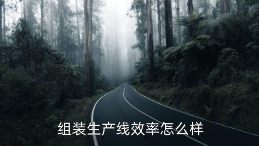  組裝生產(chǎn)線效率怎么樣