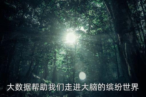 大數(shù)據(jù)幫助我們走進(jìn)大腦的繽紛世界