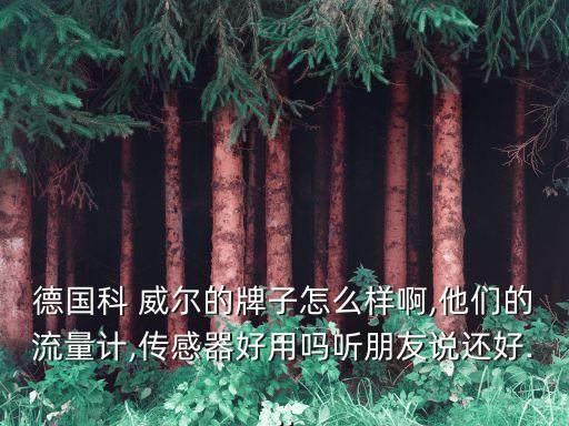 德國(guó)科 威爾的牌子怎么樣啊,他們的流量計(jì),傳感器好用嗎聽朋友說(shuō)還好...
